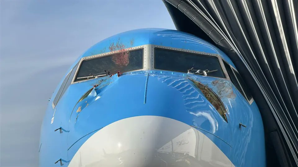 TUI Airways UK: Avión Sufre Impacto de Aves y Regresa Seguramente a Londres Gatwick